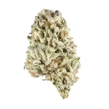 Biscotti (Exotic) THC-A Flower