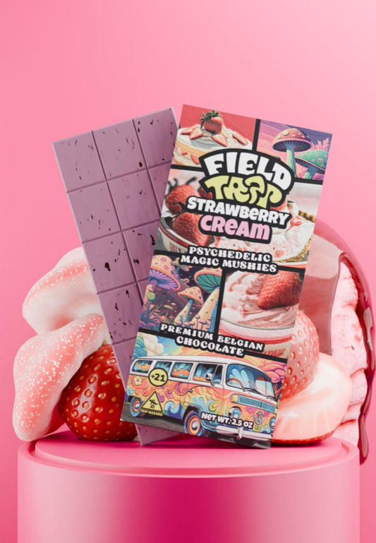 Field Trip - Mushroom Chocolate Bar (Strawberry Cream)