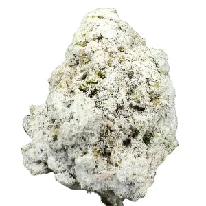 Gelato Diamond Infused THCA Flower